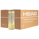 Head Tour Tennis Ball (3 Ball Can) Carton of 24 Cans 570703