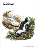 TARKINE BANDICOOT