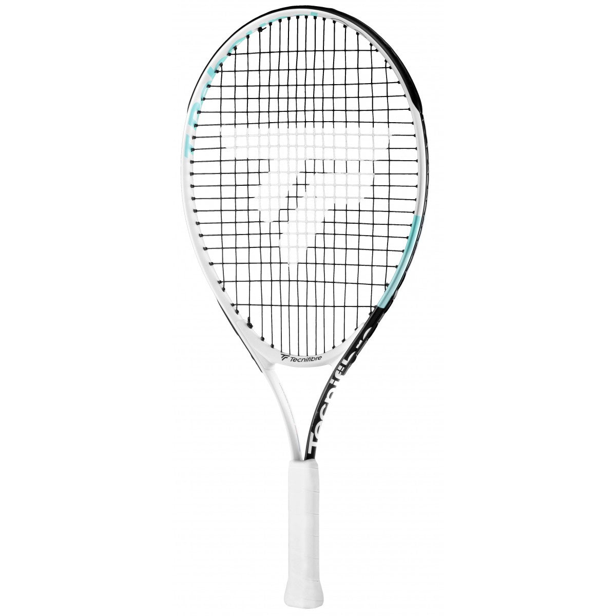 Tecnifibre Rebound Tempo 21